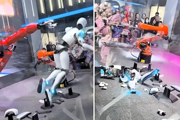 A humanoid robot crashed to the ground and shattered into pieces after slipping from a robotic arm during a live science show in Shanghai - leaving the audience stunned.