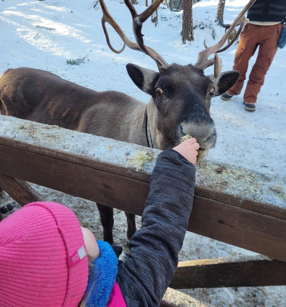 A family flew to Helsinki for a 24-hour adventure, exploring snowy forests and reindeer parks before returning home in time for school the next morning.