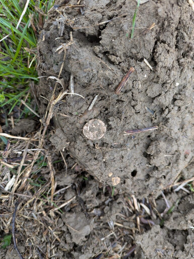 A British metal detectorist uncovered a rare Iron Age gold coin hoard in a Suffolk field, with the remarkable treasure later selling at auction for an impressive £33,200.