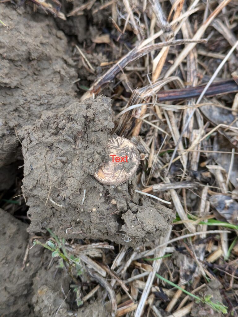 A British metal detectorist uncovered a rare Iron Age gold coin hoard in a Suffolk field, with the remarkable treasure later selling at auction for an impressive £33,200.