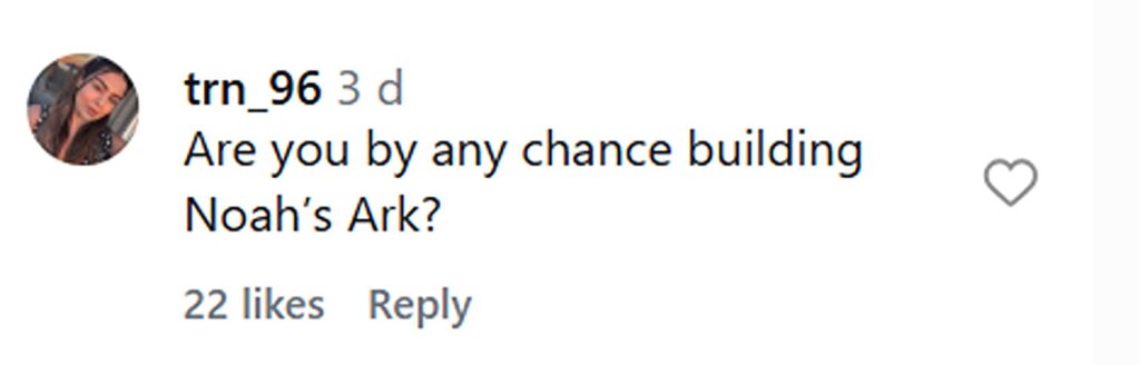 Social media comment on the post of A traveller was stunned to find a Noah's Ark menagerie of zebra, nyala and impala in his Airbnb backyard - just one hour after arriving near Kruger National Park in South Africa.