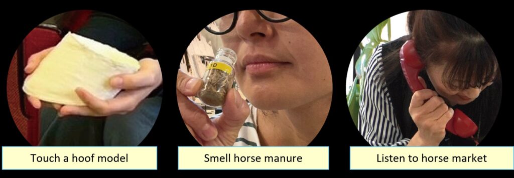 A Japanese museum is asking visitors to smell horse poo to help save the critically-endangered Kiso Horse - and researchers say the bizarre strategy is actually working.
