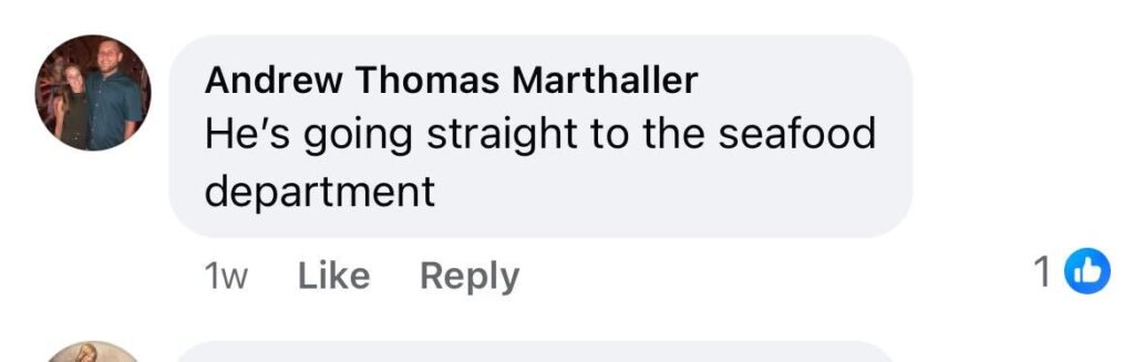 A cheeky pelican stunned shoppers after sneaking into a Florida supermarket in search of snacks, with the hilarious shoplifting attempt quickly going viral online.