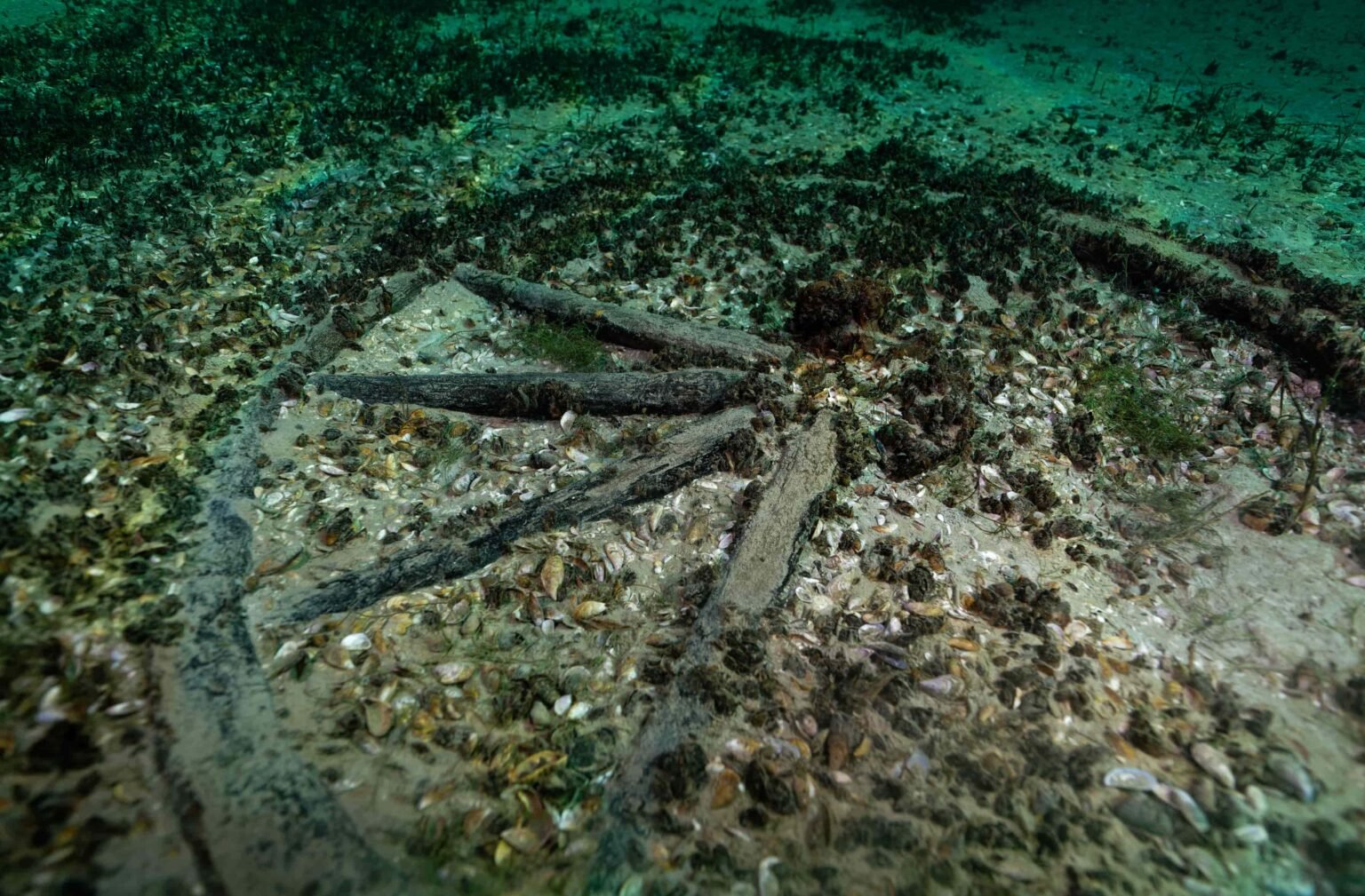 Perfectly persevered treasure from 2,000-year old shipwreck found by ...