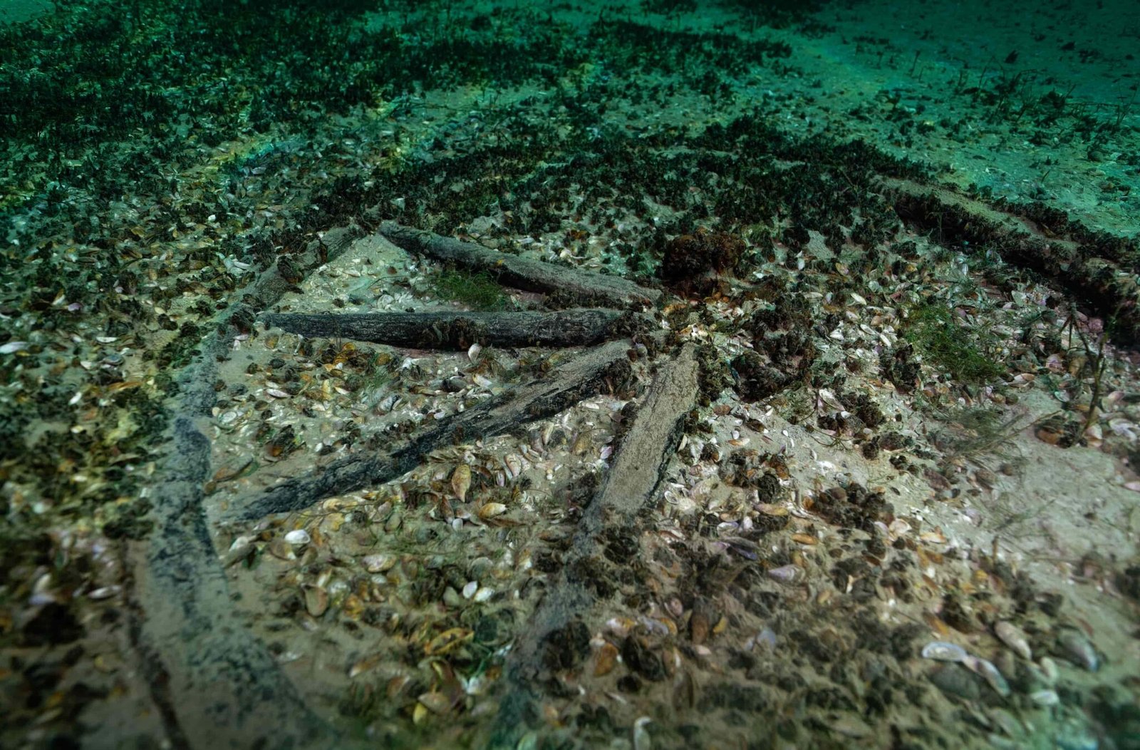 Perfectly persevered treasure from 2,000-year old shipwreck found by ...