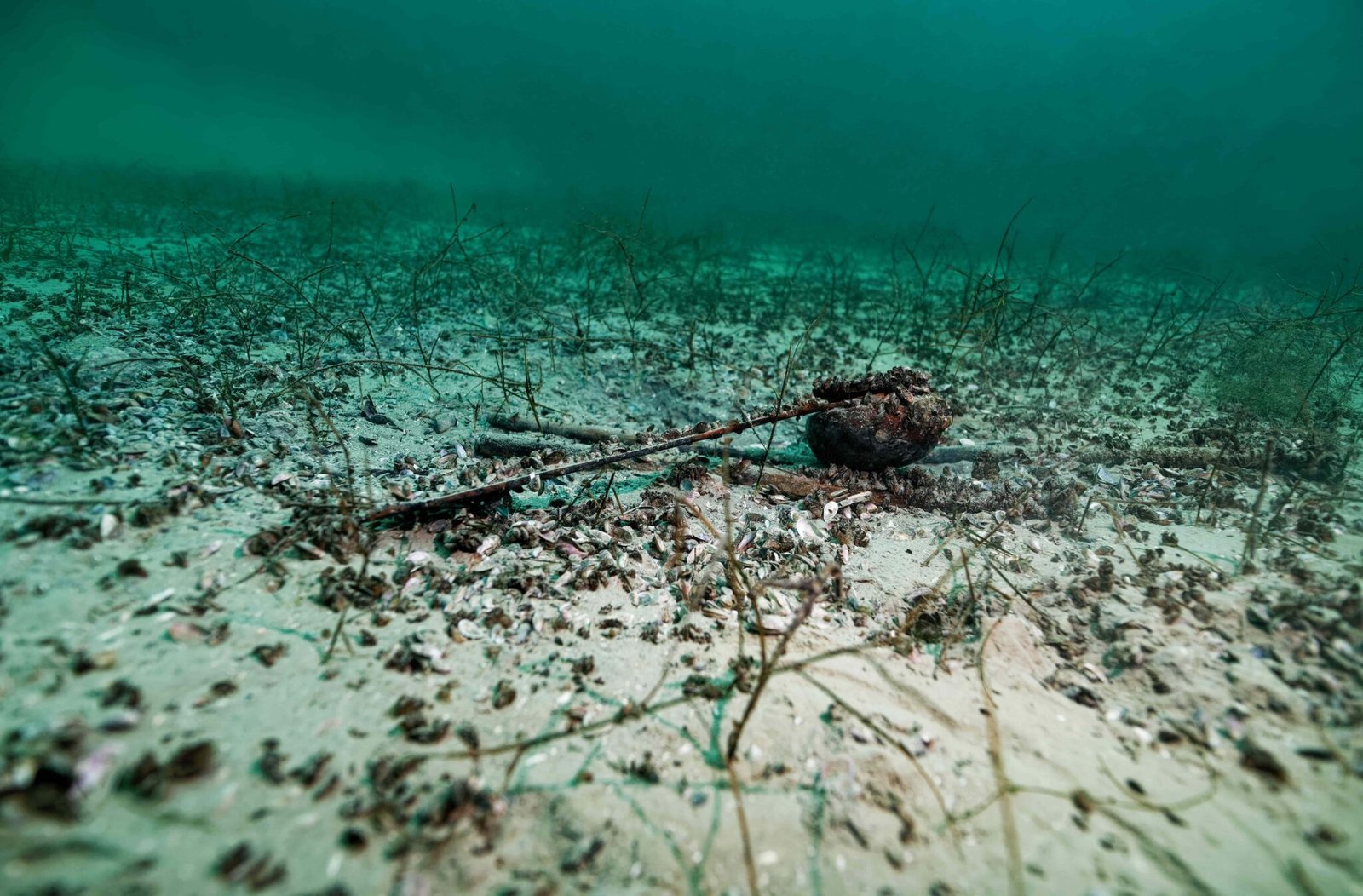 Perfectly persevered treasure from 2,000-year old shipwreck found by ...