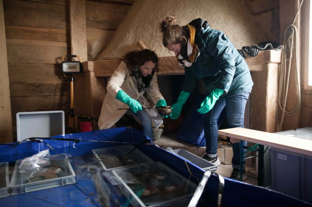 Divers uncover a 2,000 year old Roman shipwreck in Lake Neuchâtel with perfectly preserved cargo, offering a rare glimpse into ancient trade and daily life.