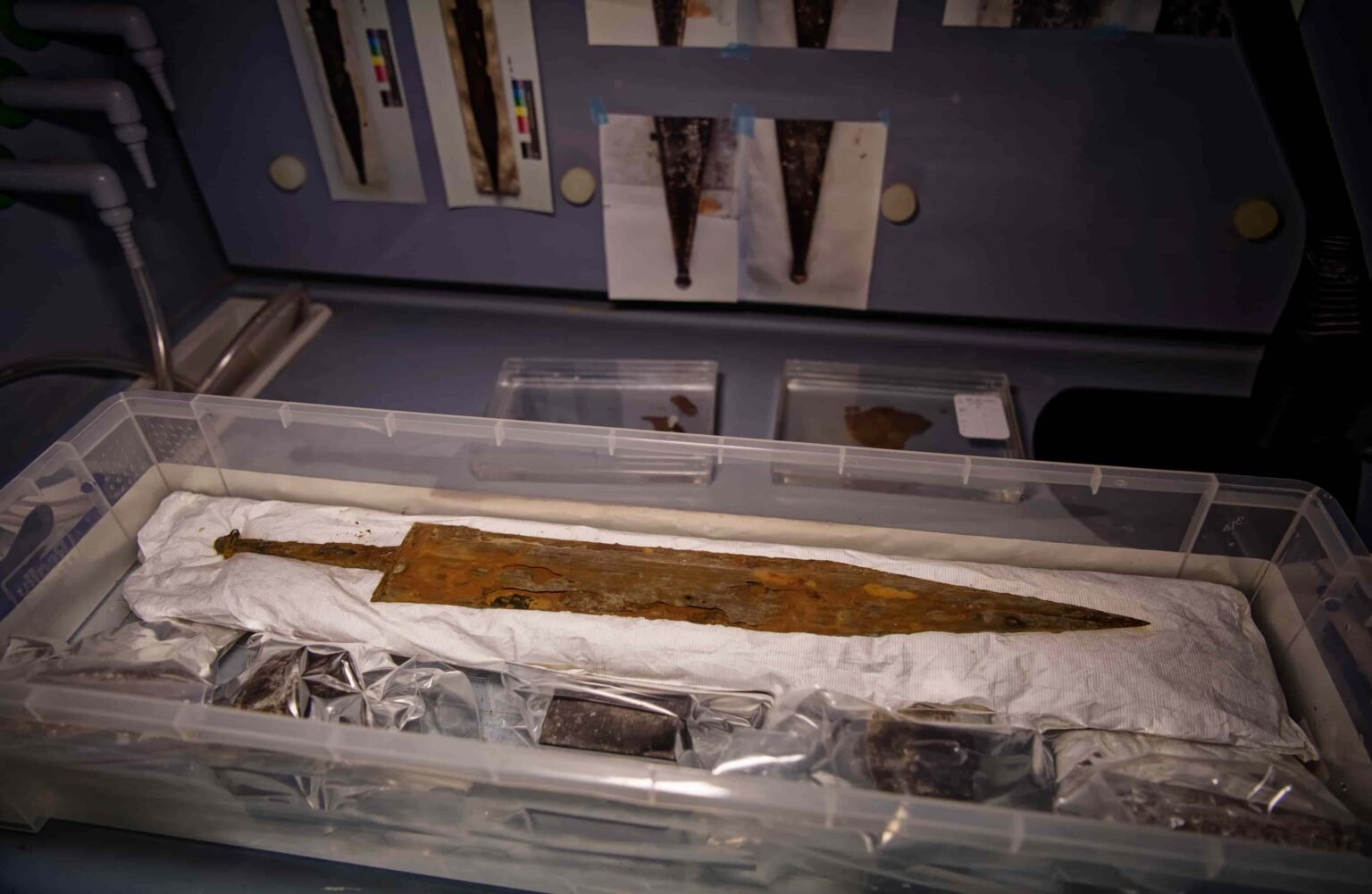 Perfectly persevered treasure from 2,000-year old shipwreck found by ...