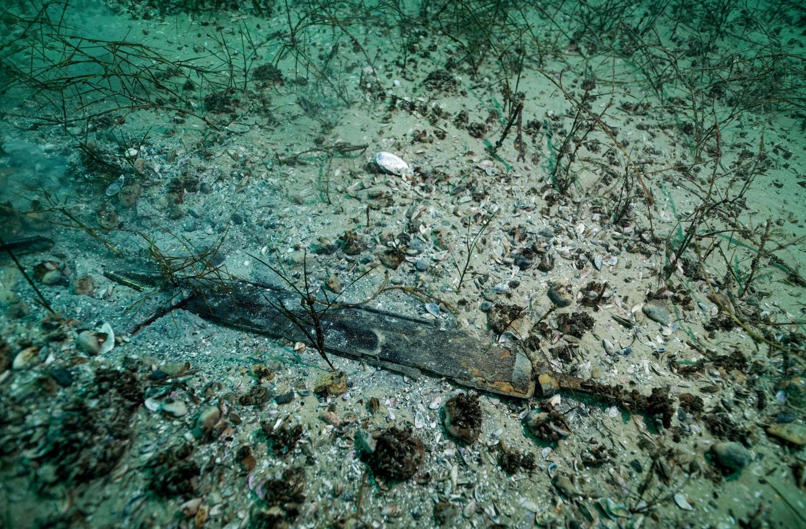 Perfectly persevered treasure from 2,000-year old shipwreck found by ...