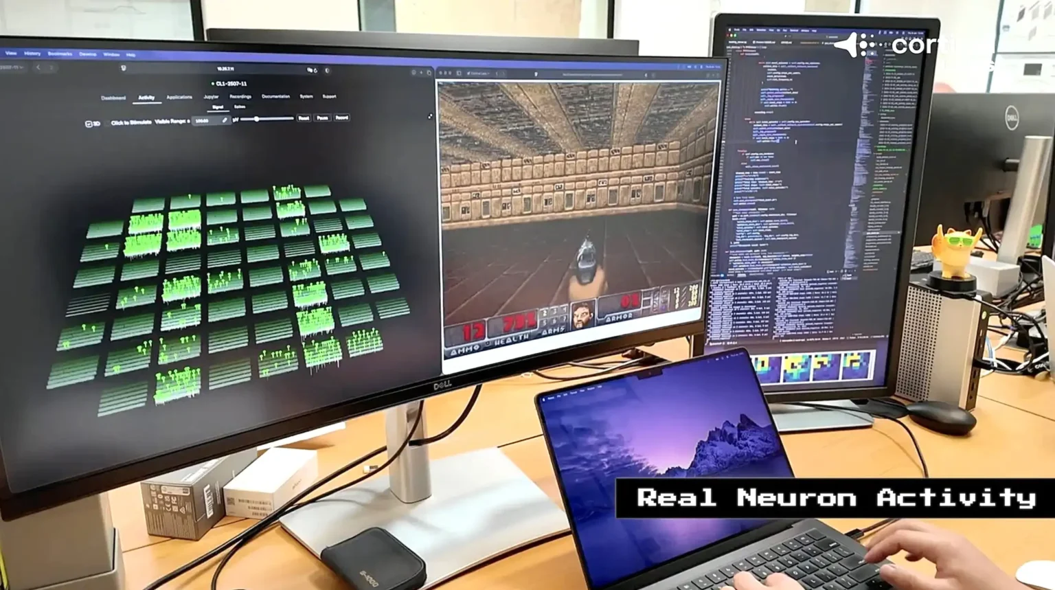 Scientists teach 800,000 living brain cells in a petri dish to play cult video game DOOM - after the mini-brain already mastered Pong in a world-first biotech breakthrough.