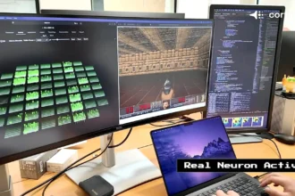 Scientists teach 800,000 living brain cells in a petri dish to play cult video game DOOM - after the mini-brain already mastered Pong in a world-first biotech breakthrough.