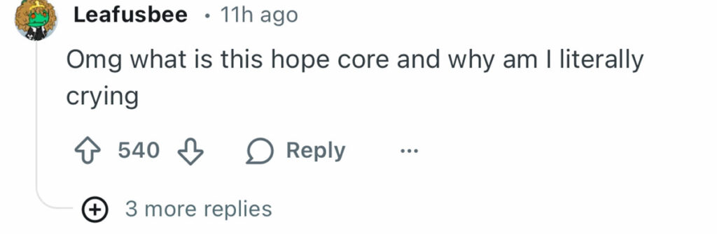 Social media comment on the post of Pack of dogs including a corgi leader captured walking along a highway in sub-zero temperatures in China - as the viral clip racks up more than 230 million views online.