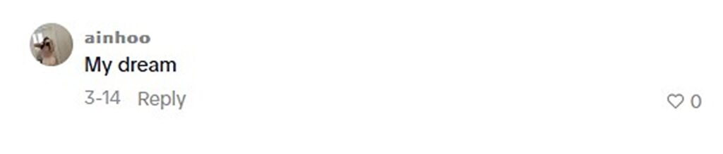 Social media comment on the post of Hollywood star Sydney Sweeney crashes a bachelorette party in Lisbon - chatting with the bride and posing for photos as the viral TikTok encounter racks up 362000 views.