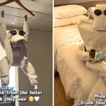 Tourist goes viral after getting locked in a hilarious towel war with hotel cleaner in Egypt - their creative designs left millions in stitches with 8.7 million views online.