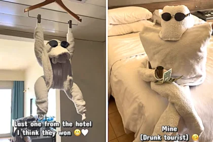 Tourist goes viral after getting locked in a hilarious towel war with hotel cleaner in Egypt - their creative designs left millions in stitches with 8.7 million views online.