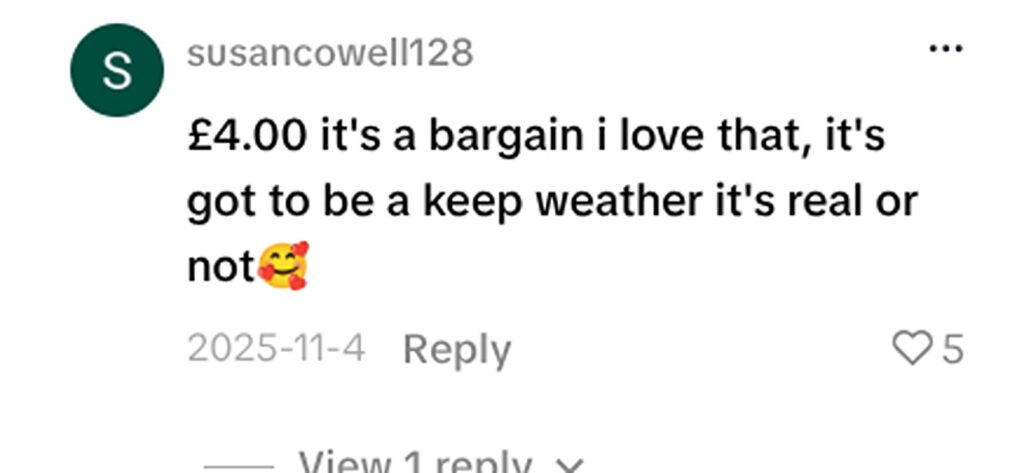 A savvy shopper snapped up a red Louis Vuitton bag worth over £1,000 for just £4 in a Manchester charity shop and now fans are debating if it is real.