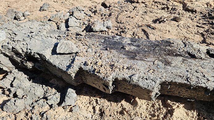 Possible 1300-year-old ship fragment discovered during sewer work in the Netherlands - with experts now analysing tree rings to determine if it dates to the Viking age.