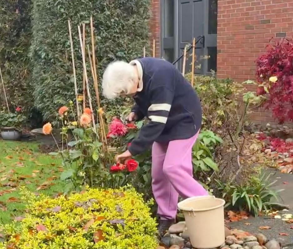 Woman shares how weight training twice a week transformed her parents in their 80s, boosting strength and mobility so dramatically that millions online think the results are AI.