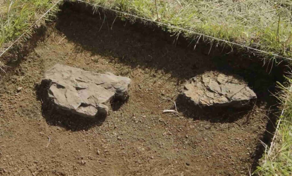 A 400-year-old silver coin unearthed near the Strait of Magellan has pinpointed the exact location of a doomed Spanish colony where most of 350 settlers perished within years.