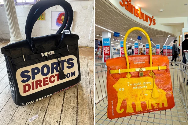 An artist is selling a supersized Sainsbury's bag for life inspired by the Hermes Birkin for £740,000. Vinay Hathi has also made giant versions of Sports Direct and Primark bags.