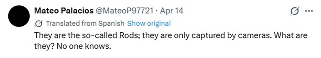 Social media comment on the post of Bizarre winged creatures were caught on camera flying past a luxury hotel in Mexico City. The strange clip has gone viral with thousands debating what the mysterious objects really are.