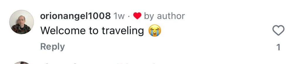 Social media comment on the post of Brit tourist left stranded 6,000 miles from home after sleeper bus drives off during toilet break in Vietnam - her AirTag showed luggage getting further and further away.