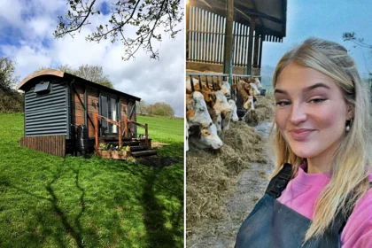 Clarkson's Farm fans can now stay in a £109 a night Airbnb right next to Harriet Cowan's cows. The shepherd's hut in Derbyshire is steps from her family's working farm.