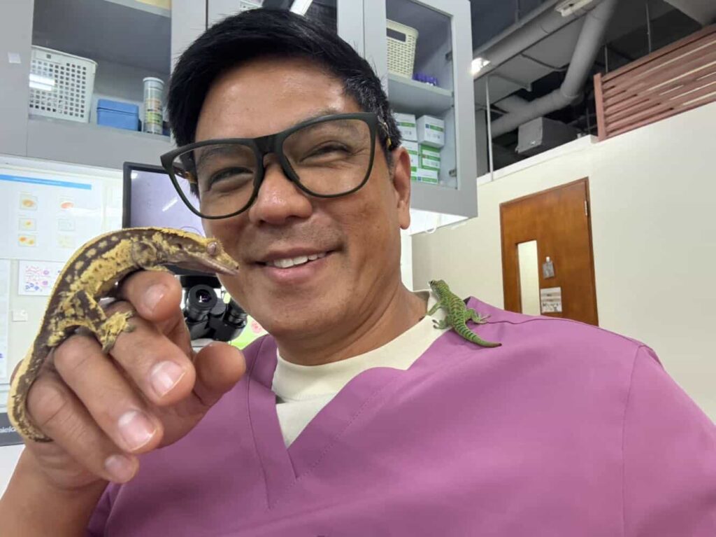 A giant tortoise has been given a new lease of life after a vet fitted it with a custom set of wheels to help it walk again following severe weakness in its back legs.