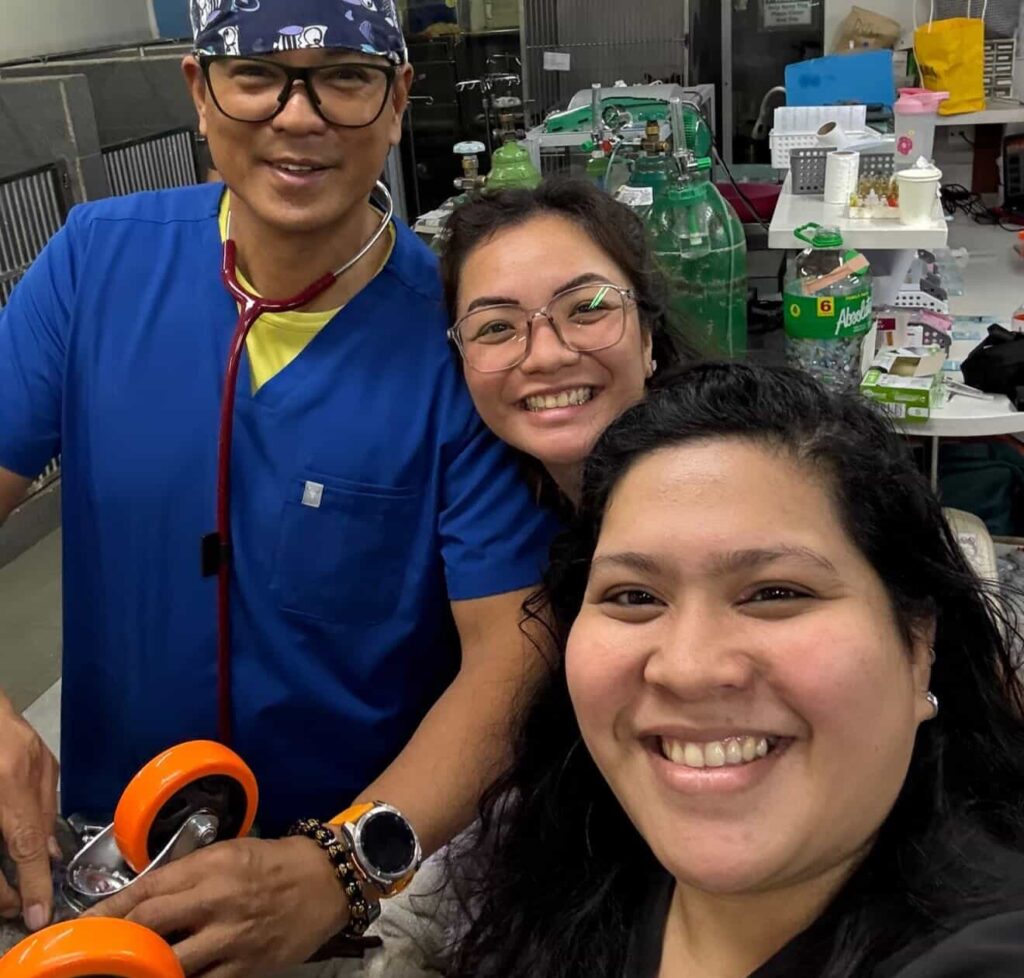 A giant tortoise has been given a new lease of life after a vet fitted it with a custom set of wheels to help it walk again following severe weakness in its back legs.