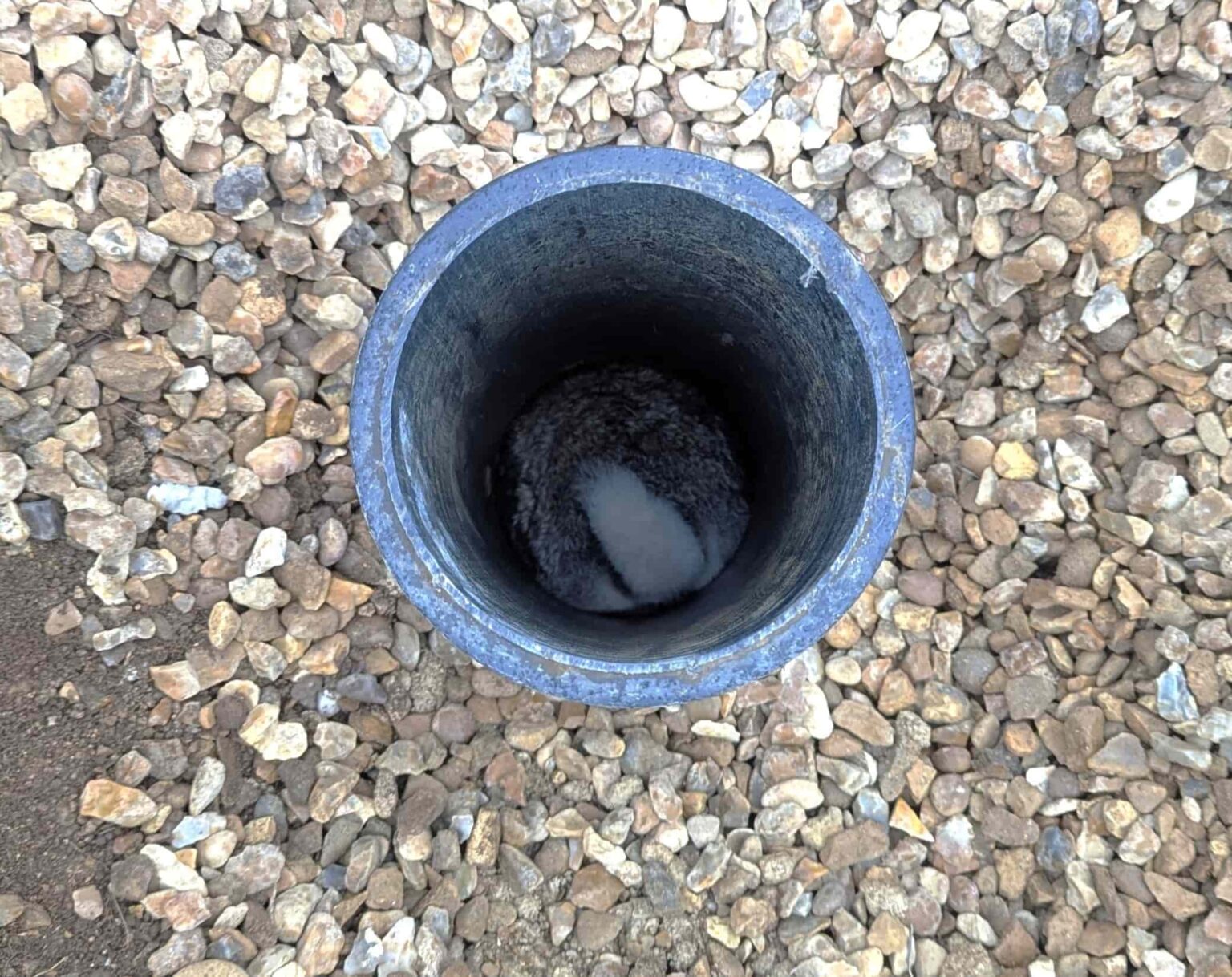 A trapped rabbit rescued from a narrow pipe has made a full recovery, with the lucky bunny safely returned to the wild after a tense and unusual ordeal.