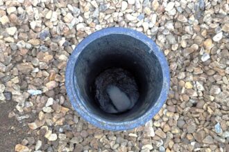 A trapped rabbit rescued from a narrow pipe has made a full recovery, with the lucky bunny safely returned to the wild after a tense and unusual ordeal.