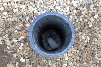 A trapped rabbit rescued from a narrow pipe has made a full recovery, with the lucky bunny safely returned to the wild after a tense and unusual ordeal.