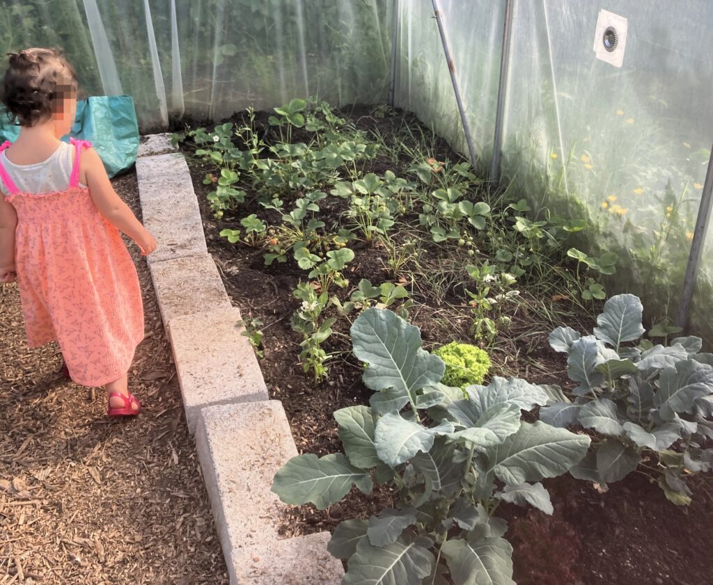 A family bought a Devon cottage without viewing it after a shock redundancy forced them out of London. The move now saves them an estimated £25,860 a year on living costs.