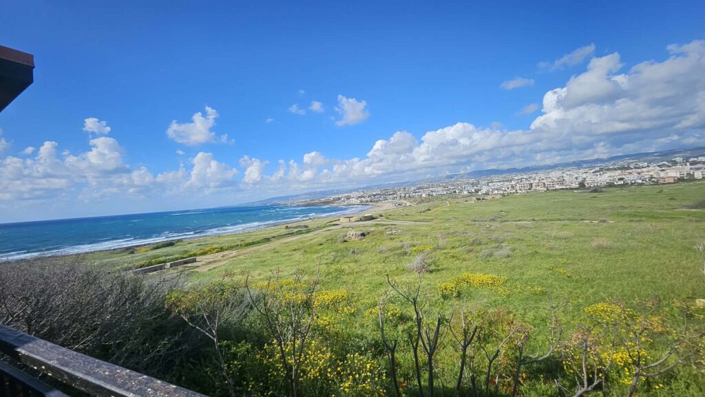 A man flew from the UK to Cyprus and back in one day just to walk rescue dogs on a beach. His return flights cost under £47 and he says it was worth every penny.