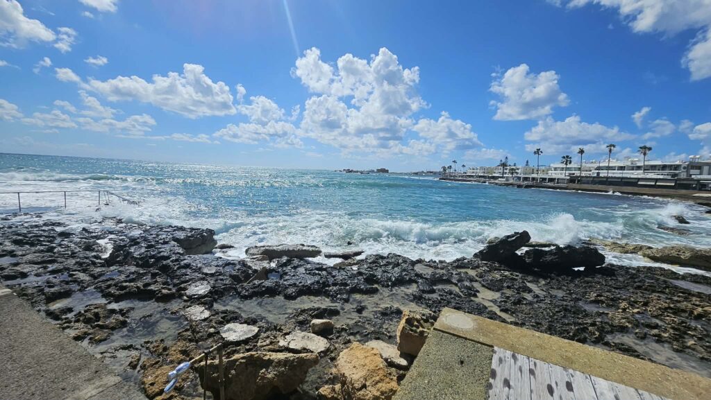A man flew from the UK to Cyprus and back in one day just to walk rescue dogs on a beach. His return flights cost under £47 and he says it was worth every penny.