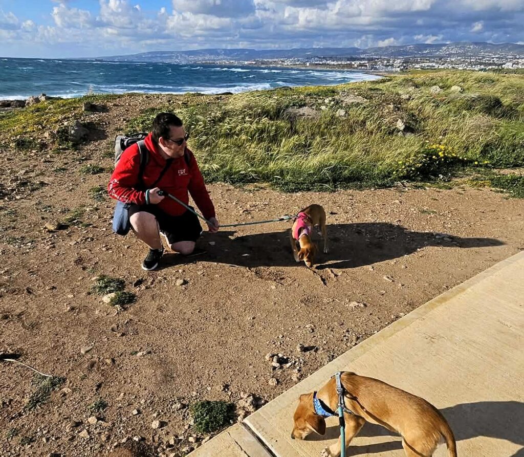 A man flew from the UK to Cyprus and back in one day just to walk rescue dogs on a beach. His return flights cost under £47 and he says it was worth every penny.