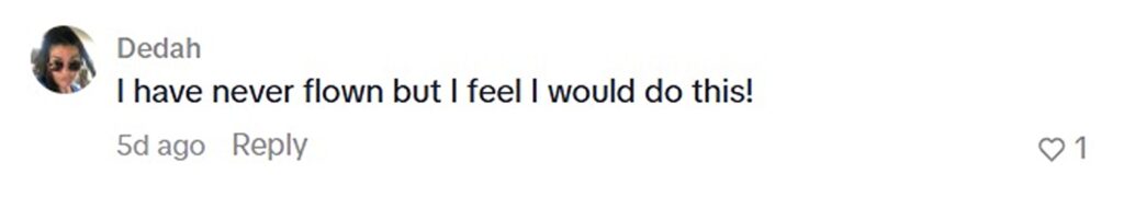 Social media comment on the post of Influencer Emily Ball says she was kicked off a flight after trying to grab her forgotten wallet. She claims a flight attendant gave her permission but security disagreed.
