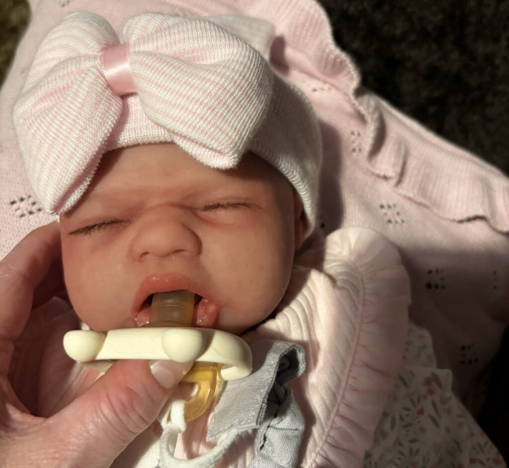 Mum-of-six Zoe Miller spends thousands on reborn dolls and takes them on walks and holidays - but warns of a dark side where scammers steal thousands from vulnerable buyers.