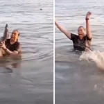 A swimmer bathing in a Mexican lagoon accidentally grabbed what she thought was driftwood, only to discover it was a live alligator, sending her scrambling to shore in panic.