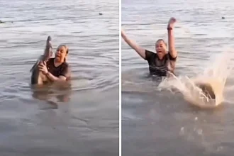 A swimmer bathing in a Mexican lagoon accidentally grabbed what she thought was driftwood, only to discover it was a live alligator, sending her scrambling to shore in panic.