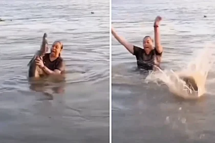 A swimmer bathing in a Mexican lagoon accidentally grabbed what she thought was driftwood, only to discover it was a live alligator, sending her scrambling to shore in panic.
