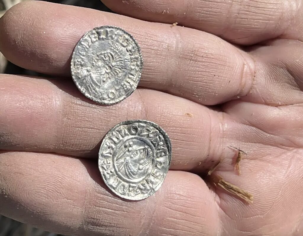 Two metal detector hobbyists have stumbled upon a record-breaking hoard of nearly 3,000 Anglo-Saxon and Viking silver coins in a field in eastern Norway.