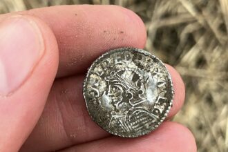 Two metal detector hobbyists have stumbled upon a record-breaking hoard of nearly 3,000 Anglo-Saxon and Viking silver coins in a field in eastern Norway.