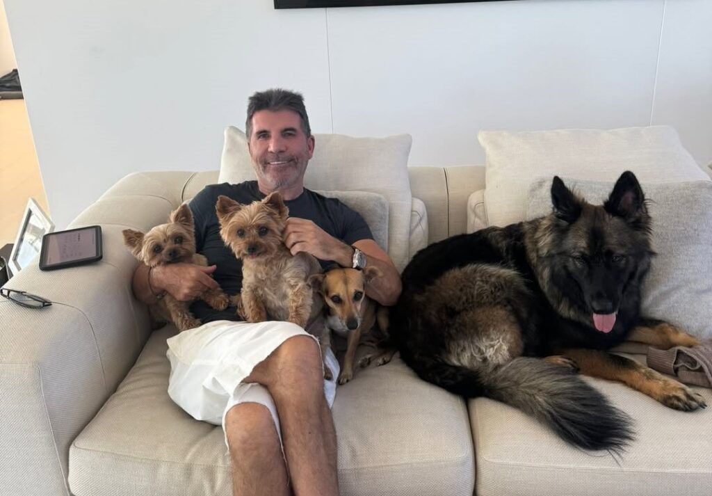 Simon Cowell claims he spotted proof of alien life over his LA garden after mysterious object streaks across the sky - but viewers say it was just a SpaceX rocket launch.