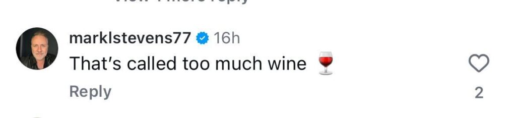 Social media comment on the post of Simon Cowell claims he spotted proof of alien life over his LA garden after mysterious object streaks across the sky - but viewers say it was just a SpaceX rocket launch.