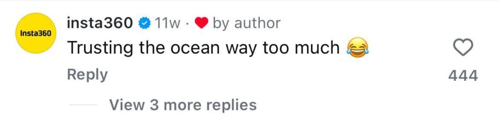 Social media comment on the post of Stunned surfer films himself riding a massive wave with a huge 8ft hammerhead shark lurking just beneath him - and his face says it all when he spots the shadowy beast.