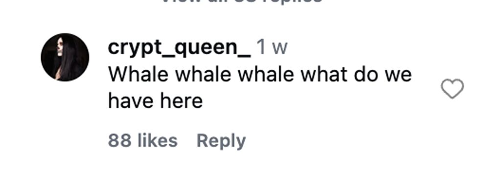 Two hikers stumbled upon what appears to be a massive whale skull on a California beach, sparking viral excitement after footage of the extraordinary find racked up 474,000 views.