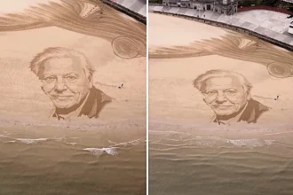 Beach artist Fred Brown creates stunning sandy portrait tribute on Bridlington beach to mark Sir David Attenborough's 100th birthday - left deliberately unfinished.