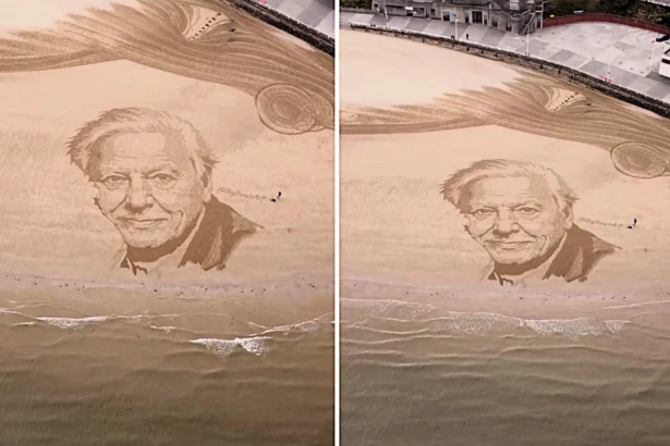 Beach artist Fred Brown creates stunning sandy portrait tribute on Bridlington beach to mark Sir David Attenborough's 100th birthday - left deliberately unfinished.