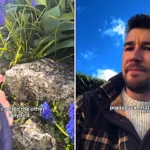 Brit dad left stumped after his curious toddler spotted two ladybirds mating in the garden - cleverly claiming the love bugs were just giving a 'piggyback'.